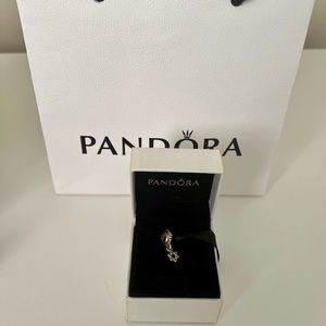 Star of David retired PANDORA charm
